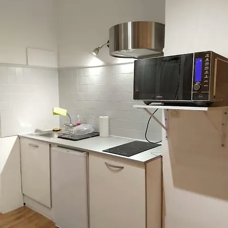 Studio Equipe Dans Le Quartier Prise Des Carmes A Toulouse. Appartement